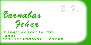 barnabas feher business card