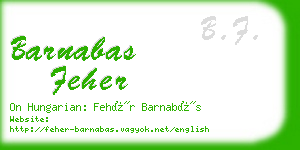 barnabas feher business card